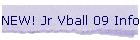 Jr Vball 08 Info